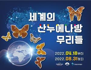 양평군 곤충박물관, 상반기 ‘세계의 산누에나방 무리들’ 기획전 개최!
