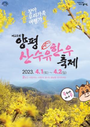 양평 노랑천국 산수유, A++ 한우축제 오는 4월 1일 개막~!!