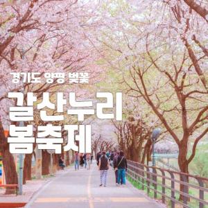 제7회 누리봄 벚꽃축제 & 물소리마켓 & 가족체험존"양평봄축제 풍성"